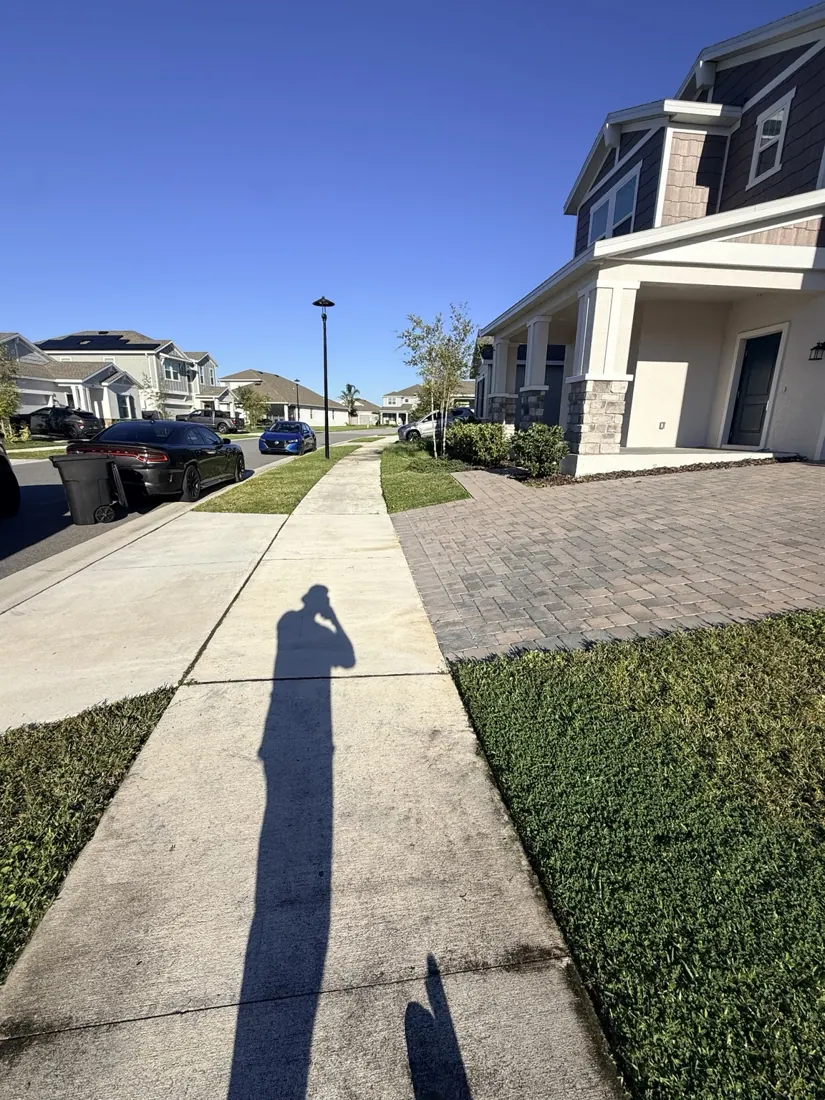 Residential lawn and walkway