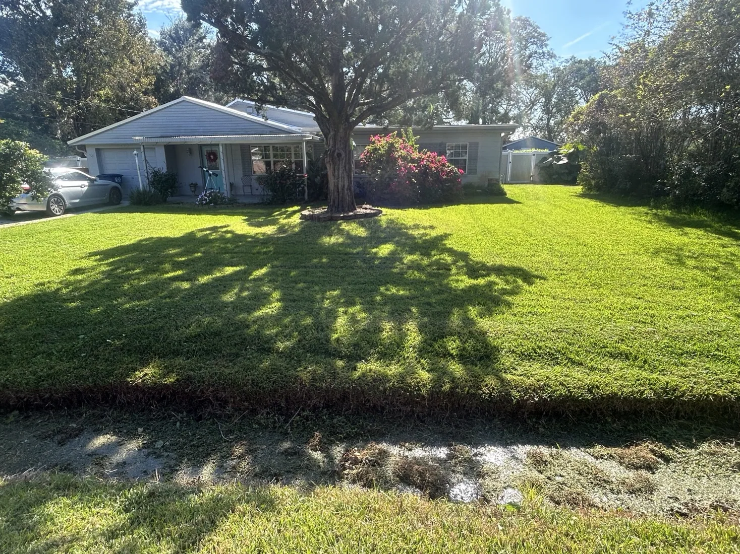 Residential Lawn Maintenance
